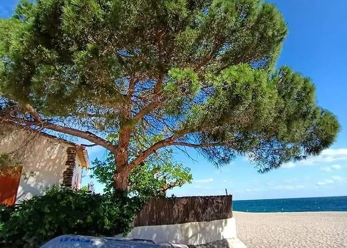4 Pers A 50m De La Avec Terrasse Calme Et Proche Commerces A - Fr-1-776-51 Apartament Argelès-sur-Mer